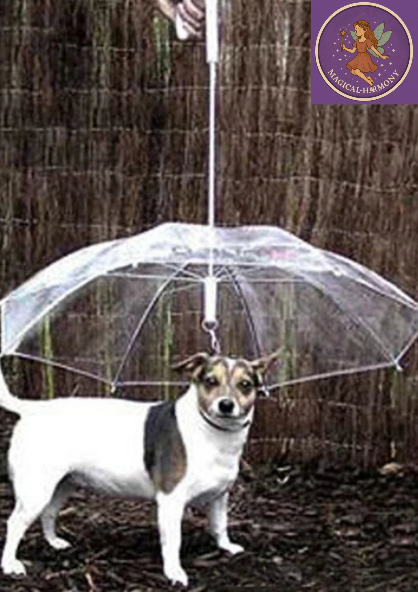 Dog Walking Waterproof Clear Cover Built-in Leash Rain Sleet Snow Pet Umbrella Pet Products