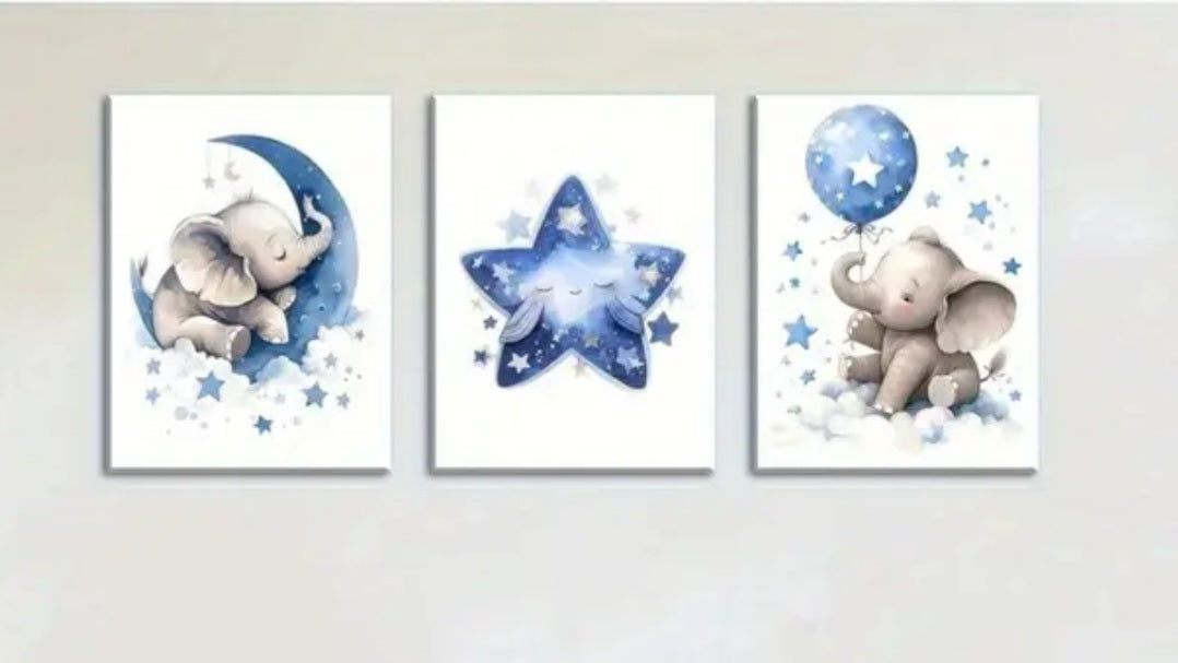 3pcs Framed Canvas,