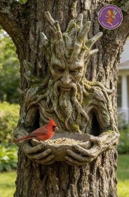 Hanging Bird Feeder