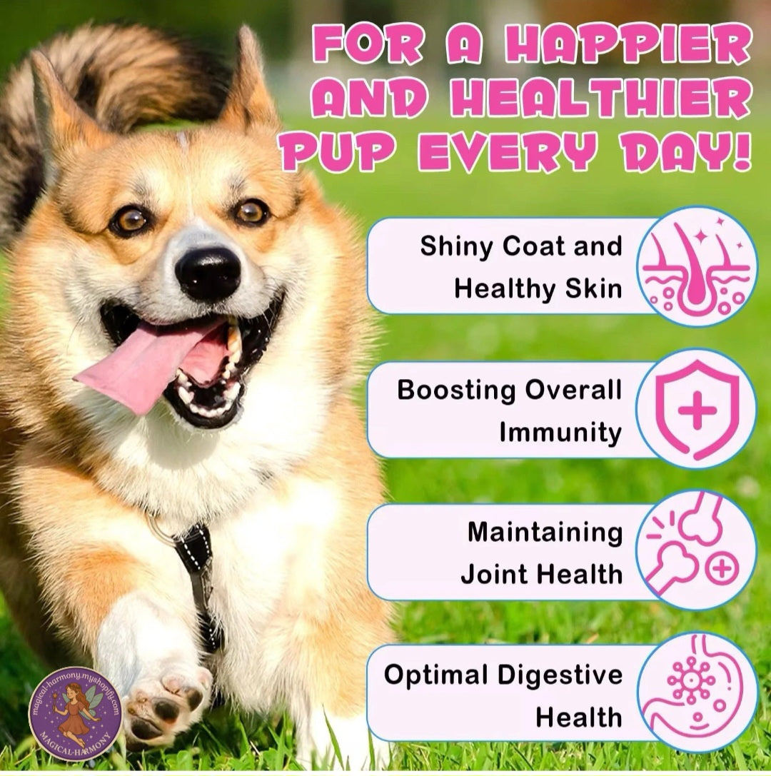 Collagen Liquid Supplement For Dog's