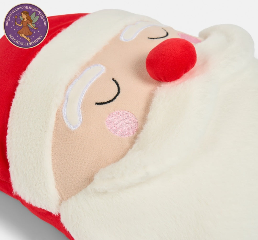 Santa Cushion