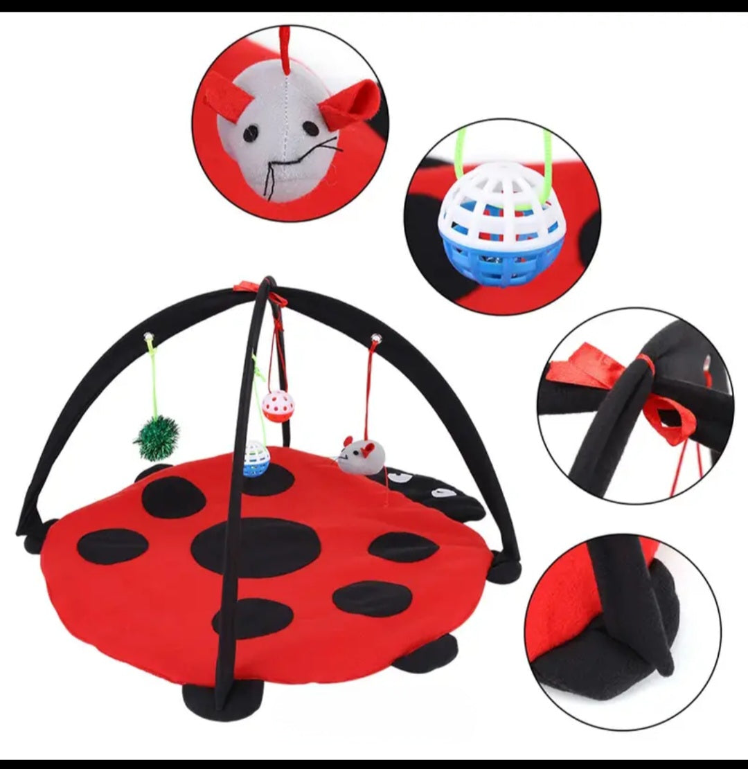 Kitten play mat