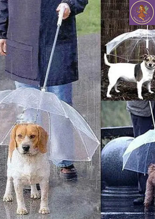Dog Walking Waterproof Clear Cover Built-in Leash Rain Sleet Snow Pet Umbrella Pet Products