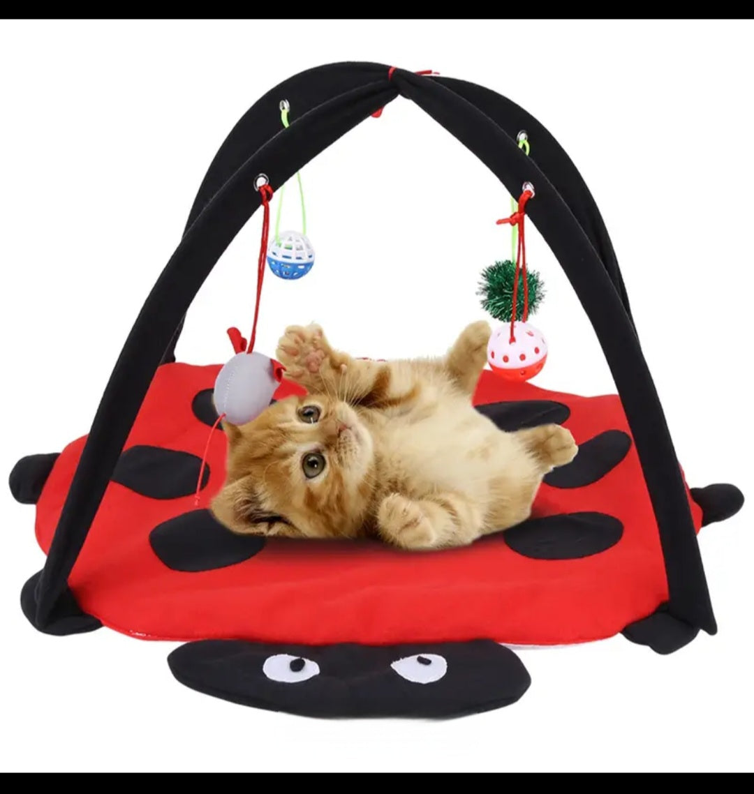 Kitten play mat