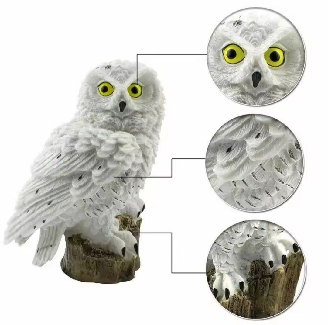 Solar Powered Owl Light