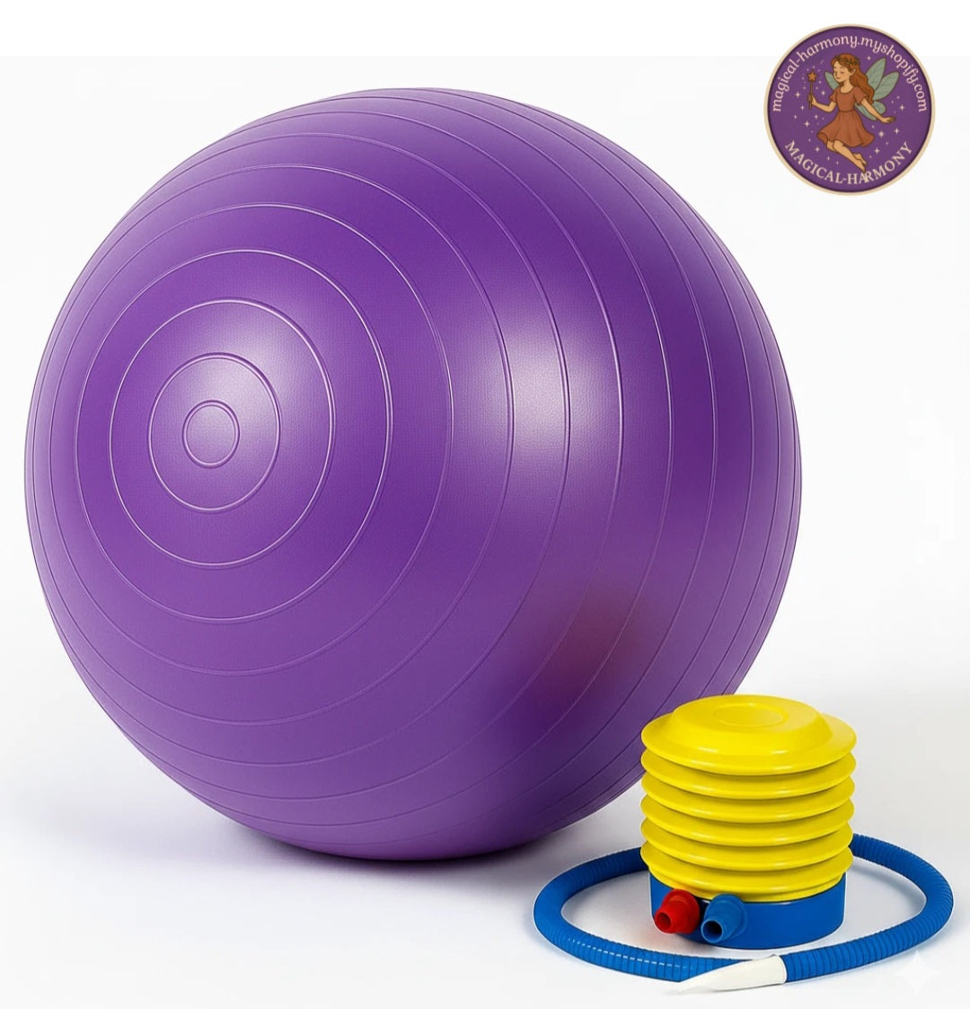 Exercise Gym Ball Swiss Pilates Yoga Core Training Pregnancy Birthing Anti-Burst