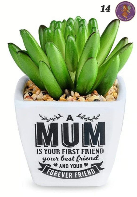 Faux Succulent Plant