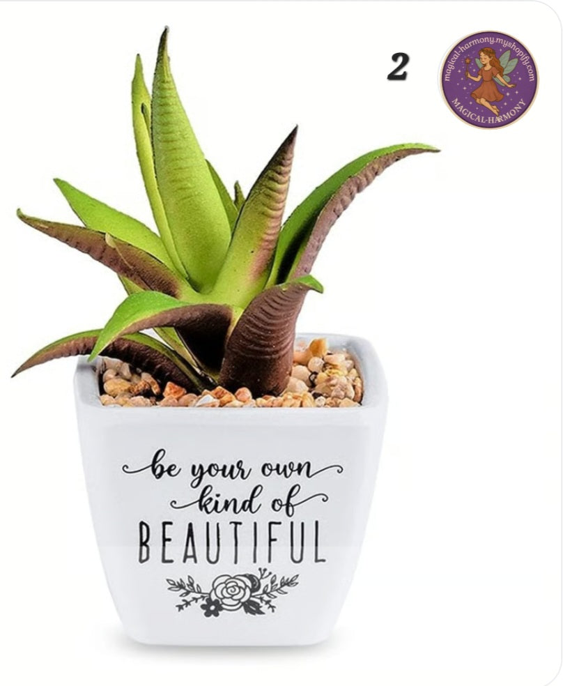 Faux Succulent Plant