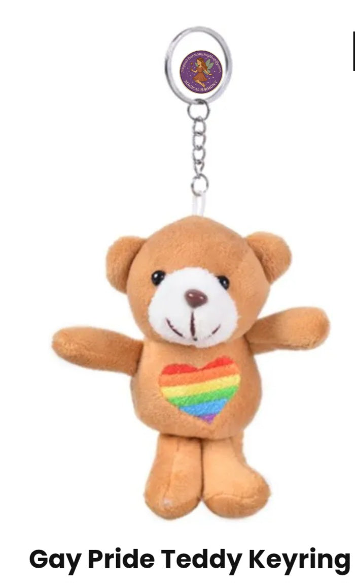 Cute teddy keyrings