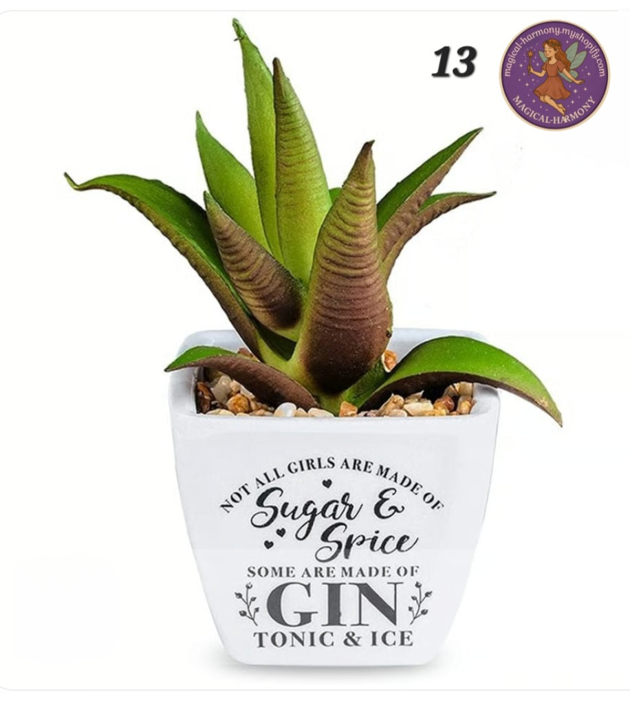 Faux Succulent Plant
