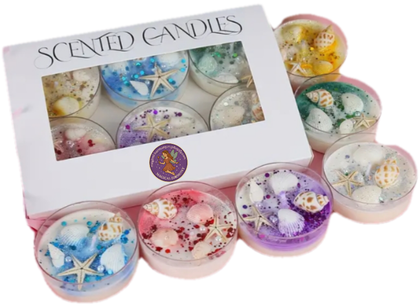 6pcs Shell-Themed Aromatherapy Candle Gift Box