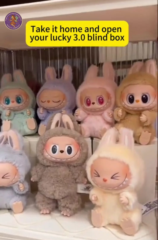 Labubu Blind Bag.