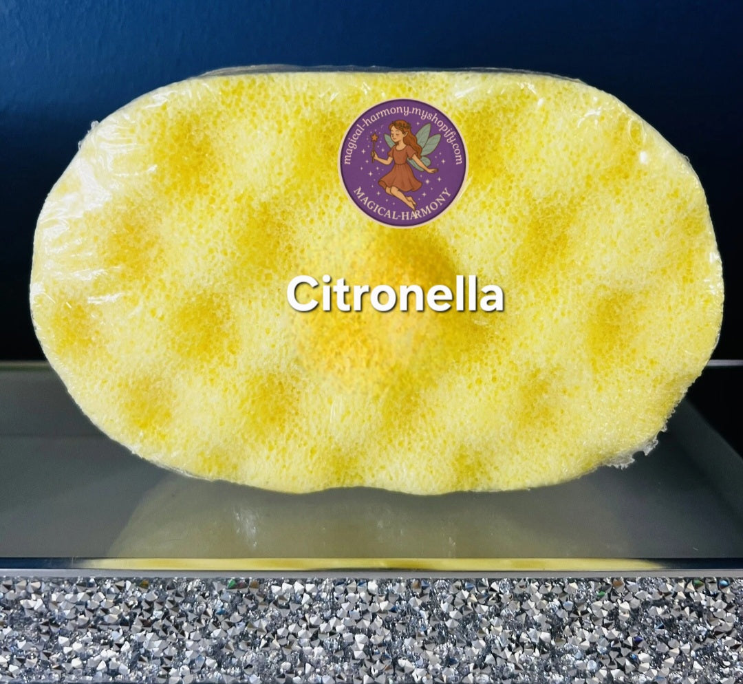 Highly Scented Soap Sponges