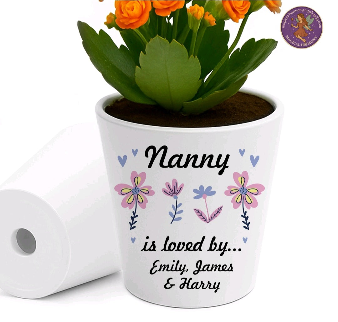 Personalised Nan Plant Pot.