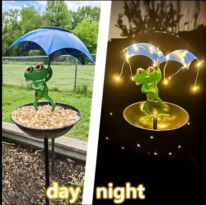 Solar Powered Frog