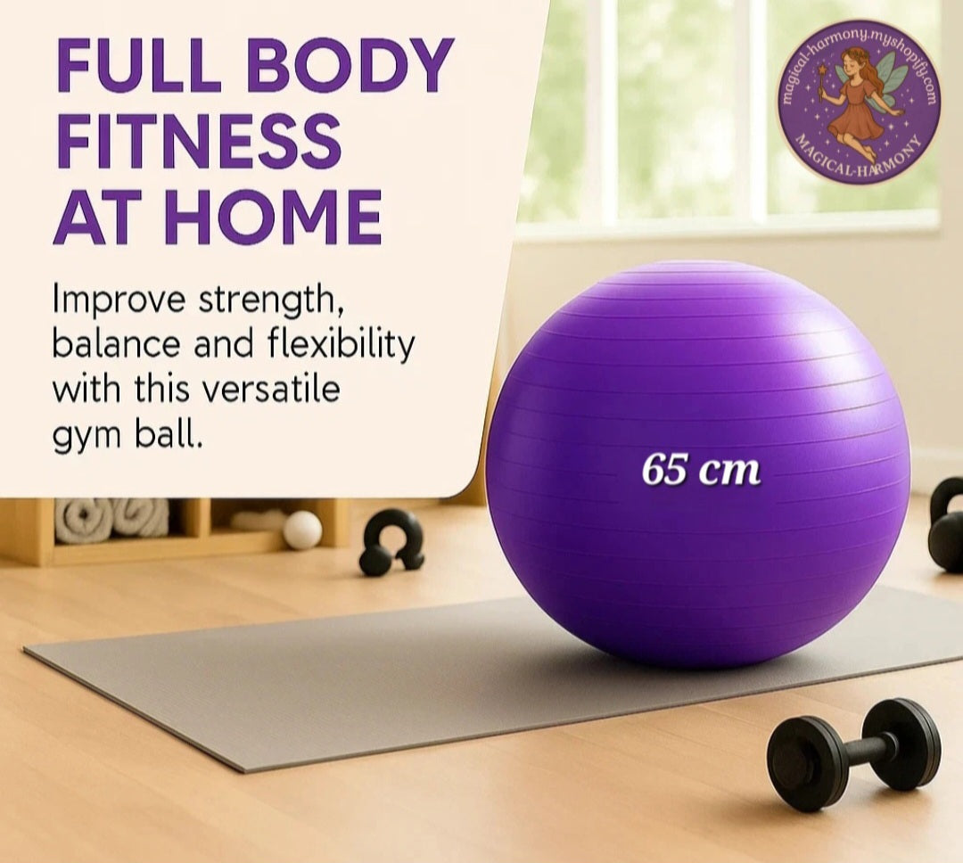 Exercise Gym Ball Swiss Pilates Yoga Core Training Pregnancy Birthing Anti-Burst