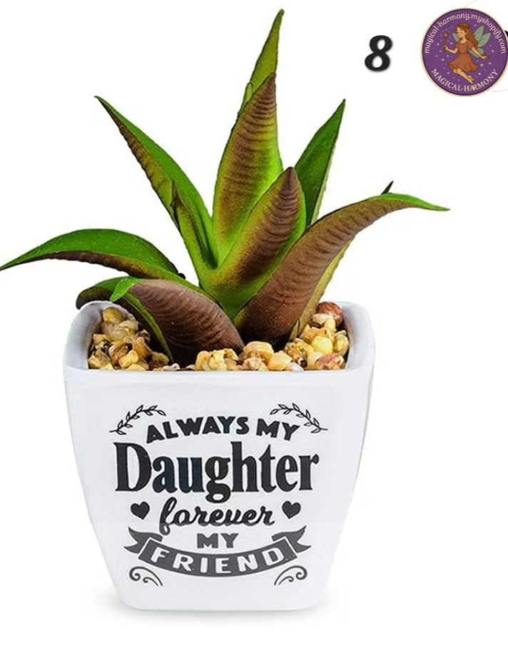 Faux Succulent Plant