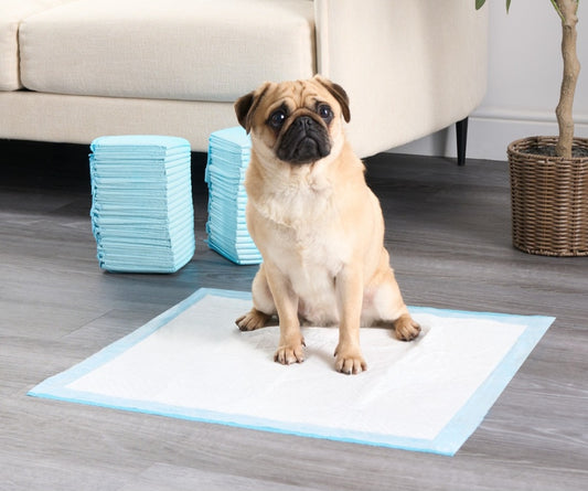Scented Or Uncented Training Mats