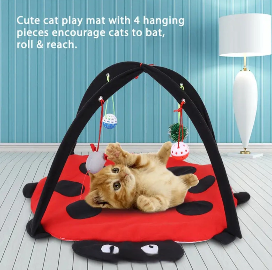 Kitten play mat