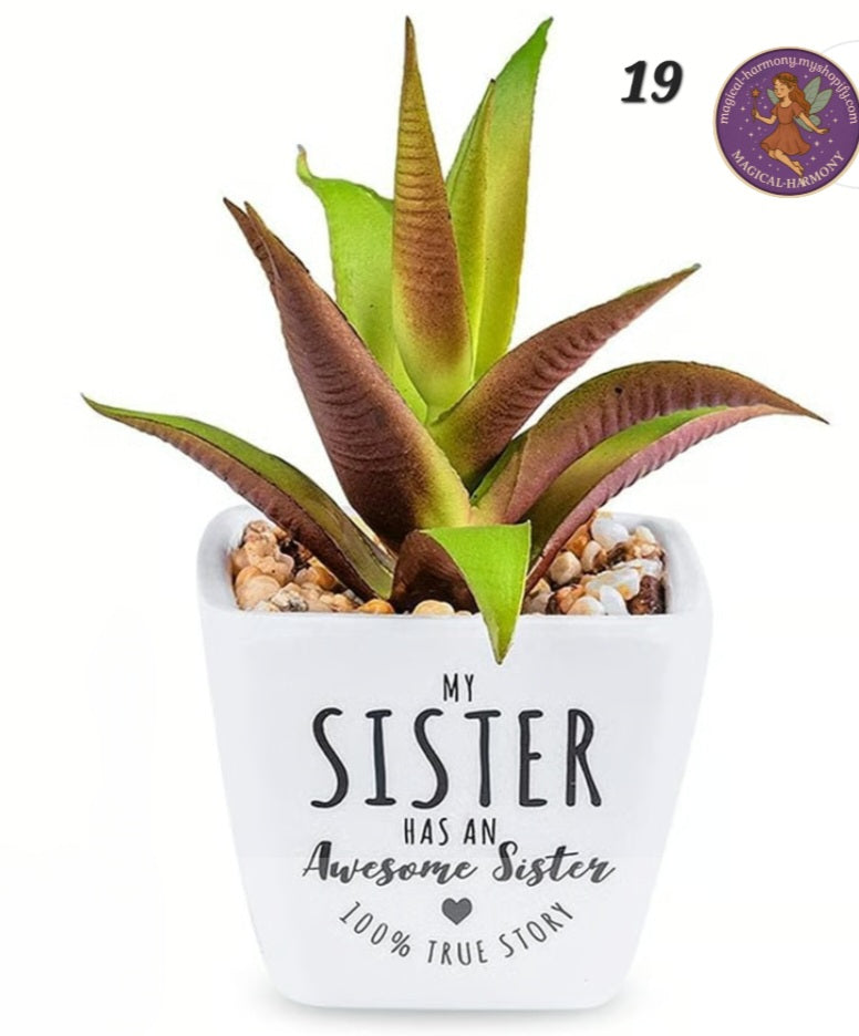 Faux Succulent Plant