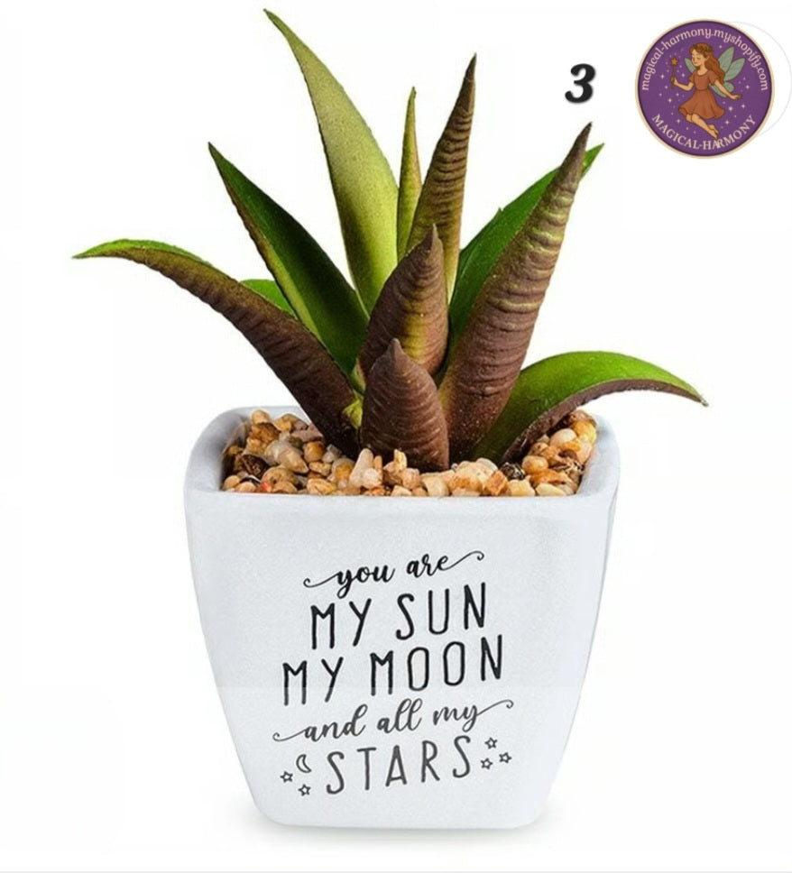 Faux Succulent Plant