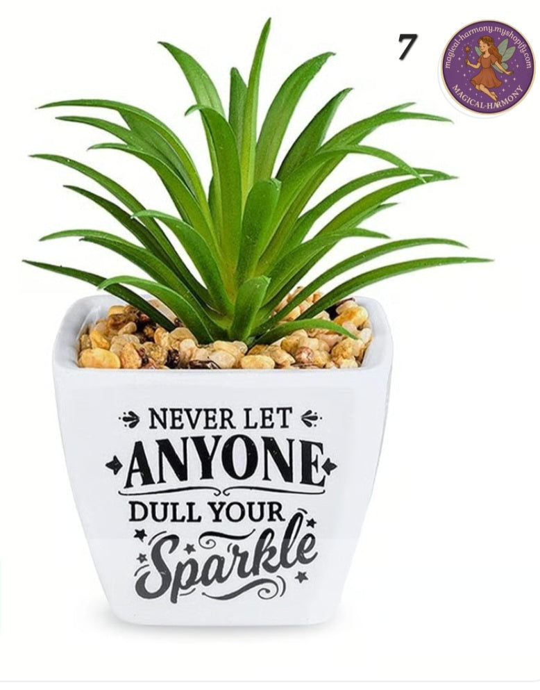 Faux Succulent Plant