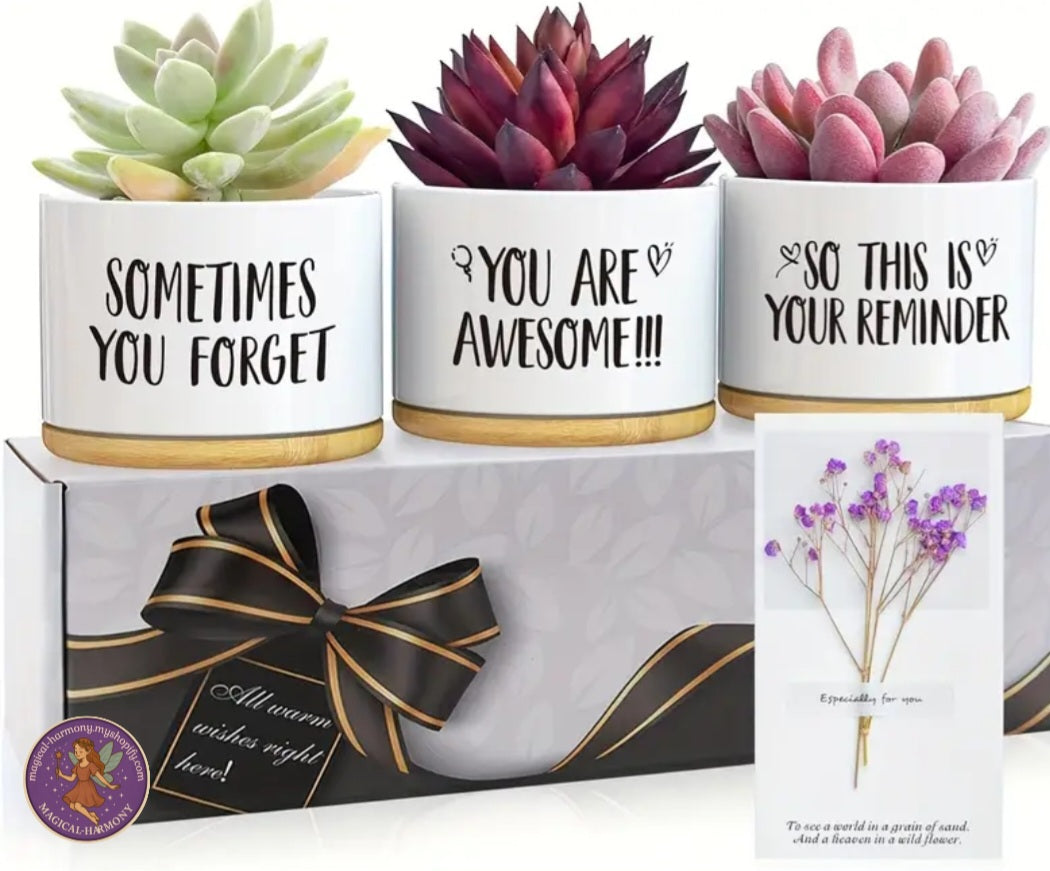 3-Piece Flower Pot Gift Set