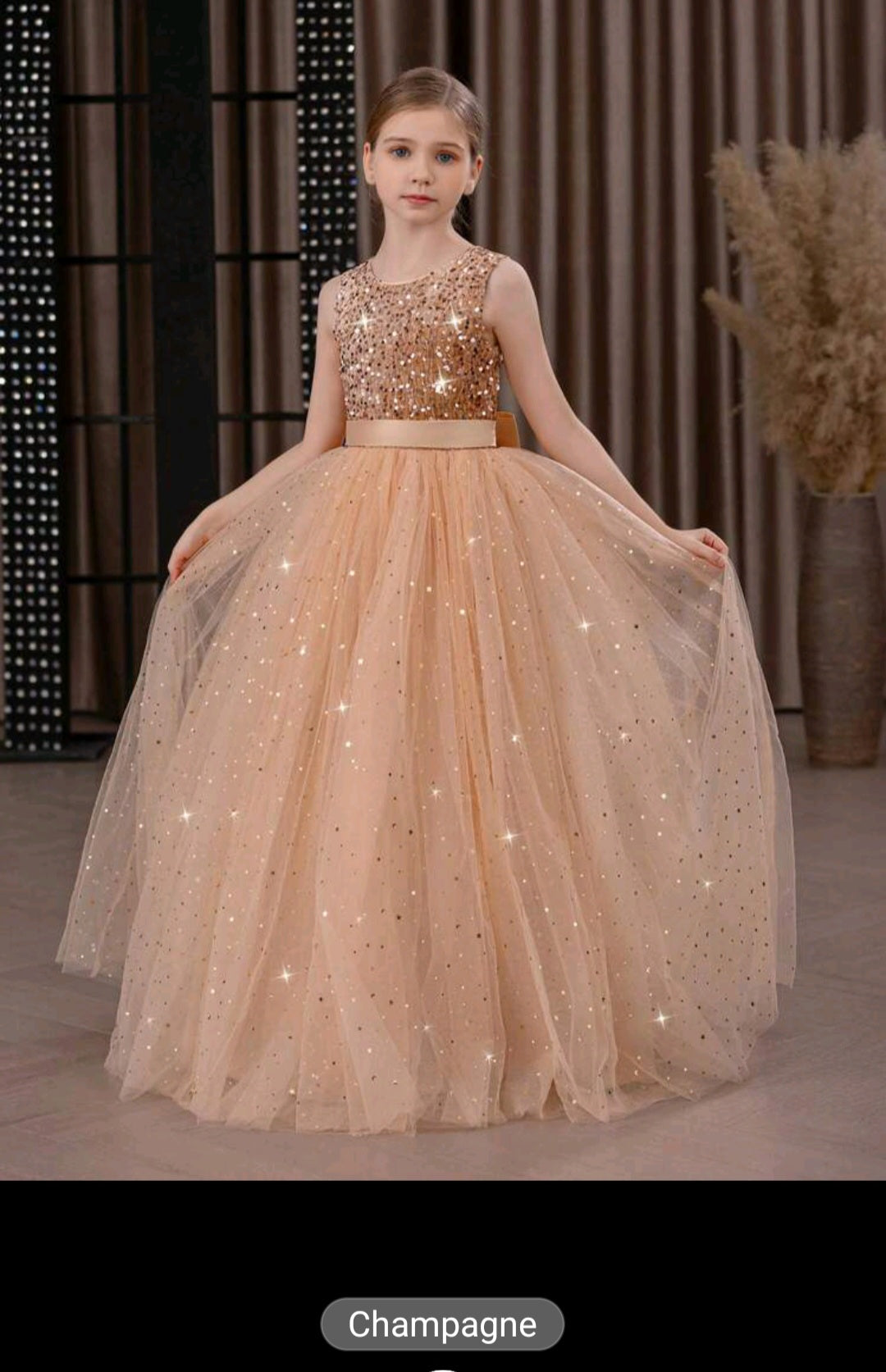 Tween Flower Girl/ Party Dress