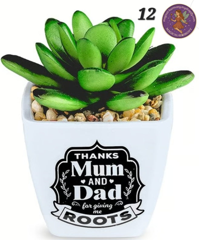 Faux Succulent Plant