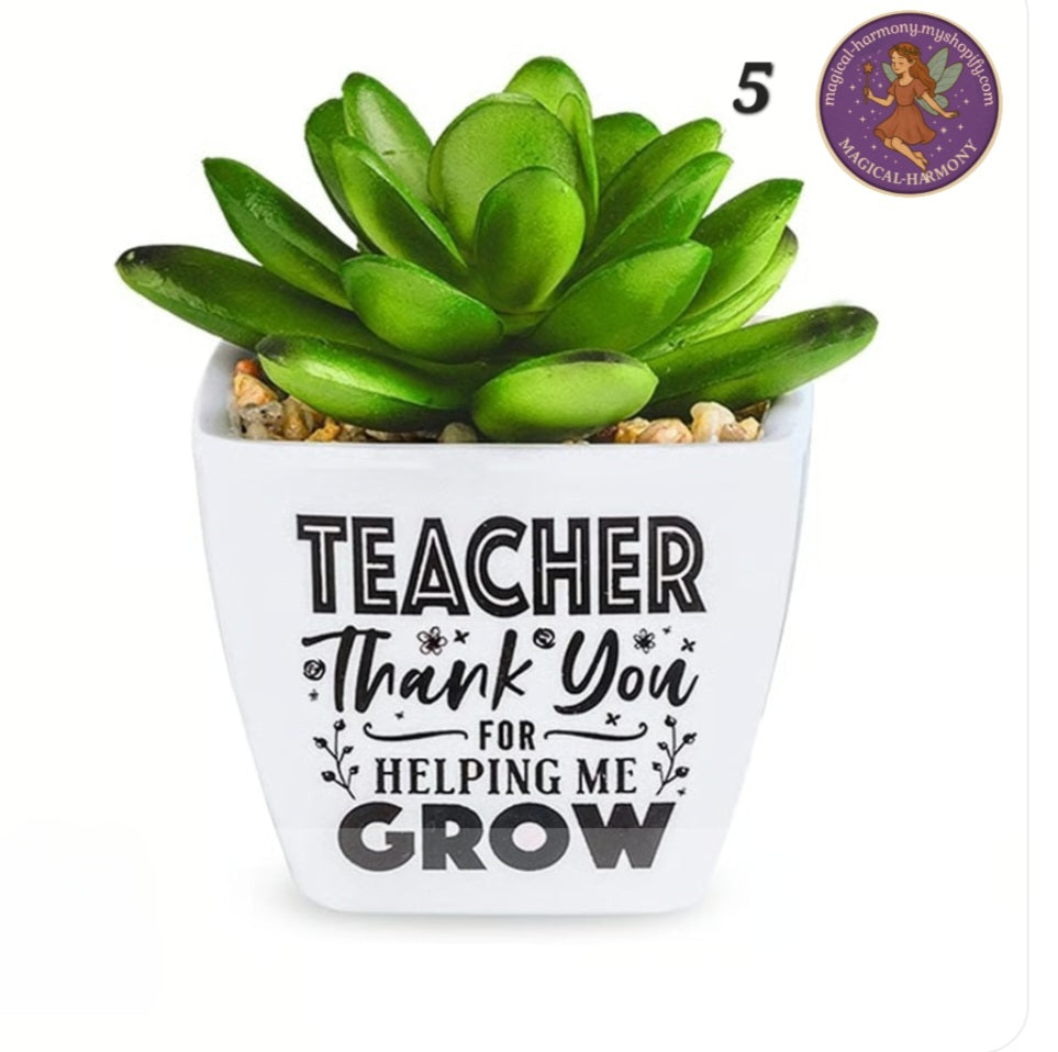 Faux Succulent Plant