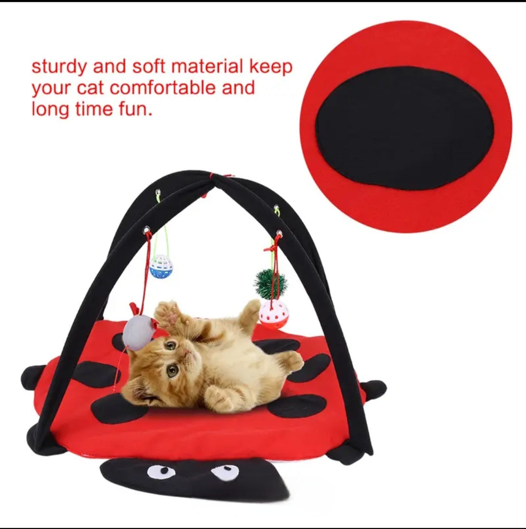 Kitten play mat