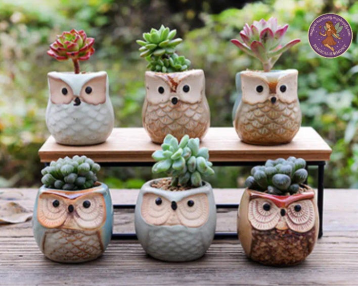 6pcs Mini Ceramic Succulent Pot Set (Perfect For Owl Enthusiasts)