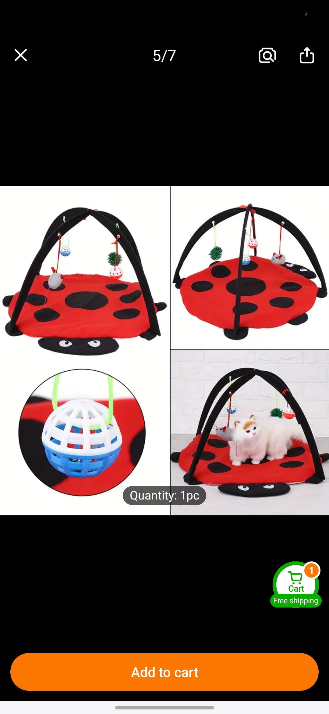 Kitten play mat