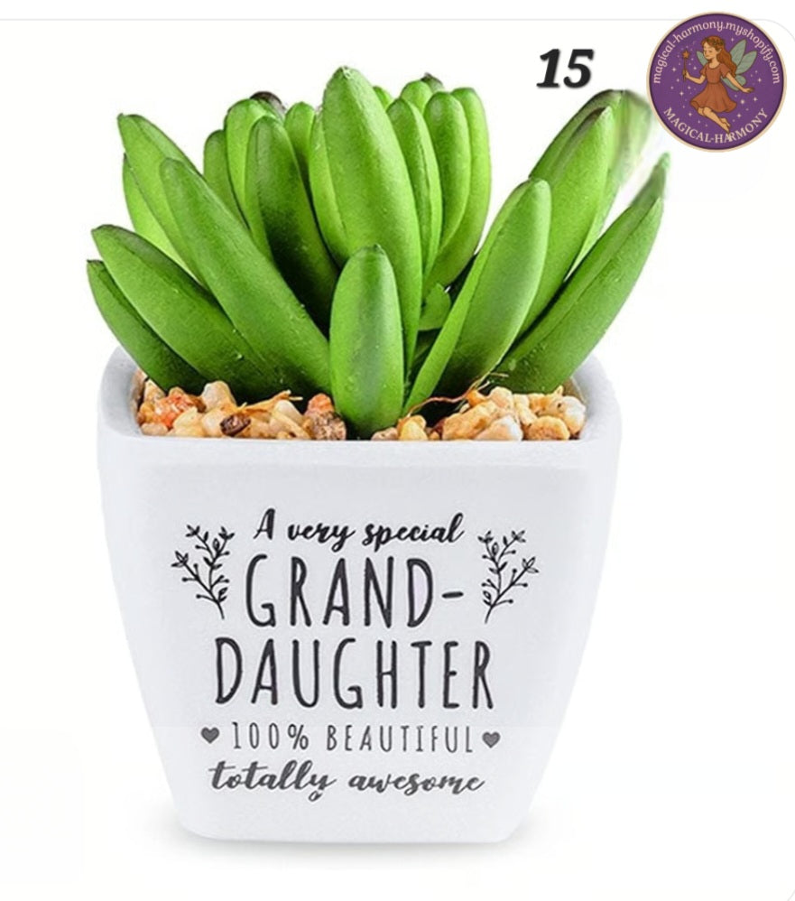 Faux Succulent Plant