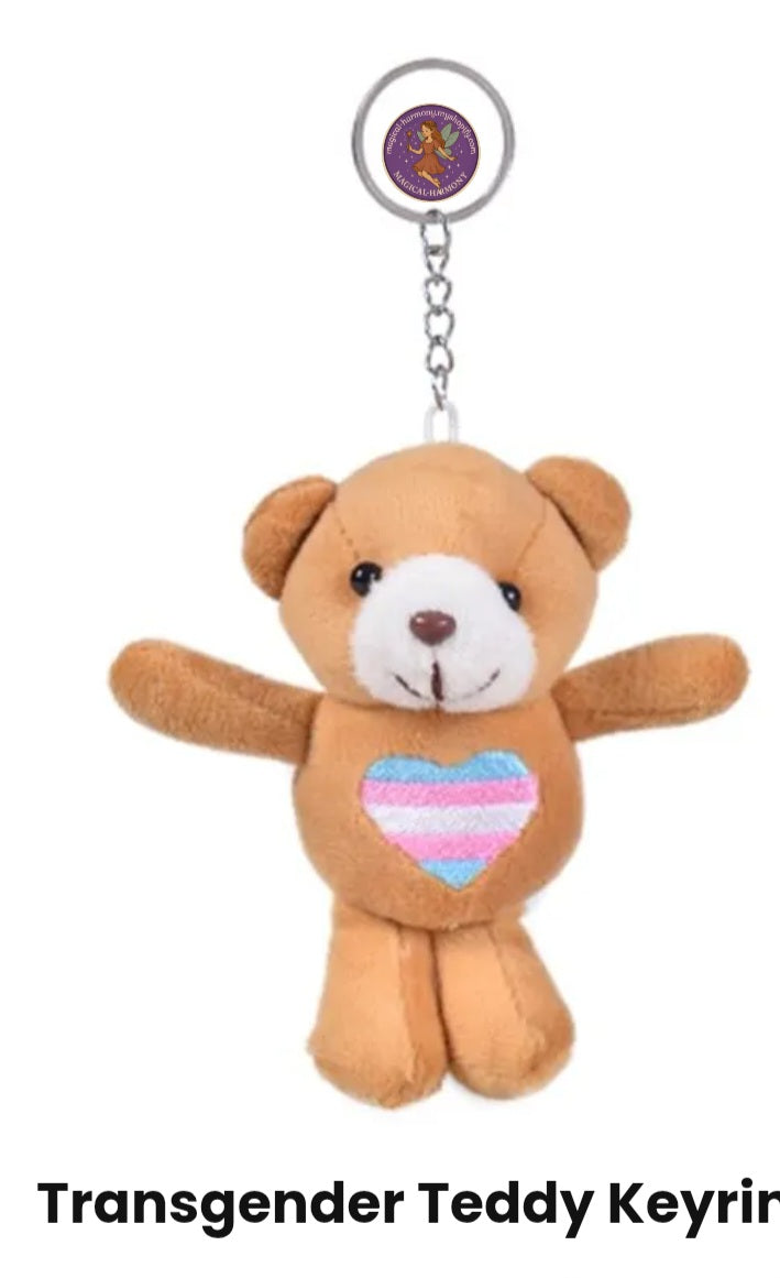 Cute teddy keyrings