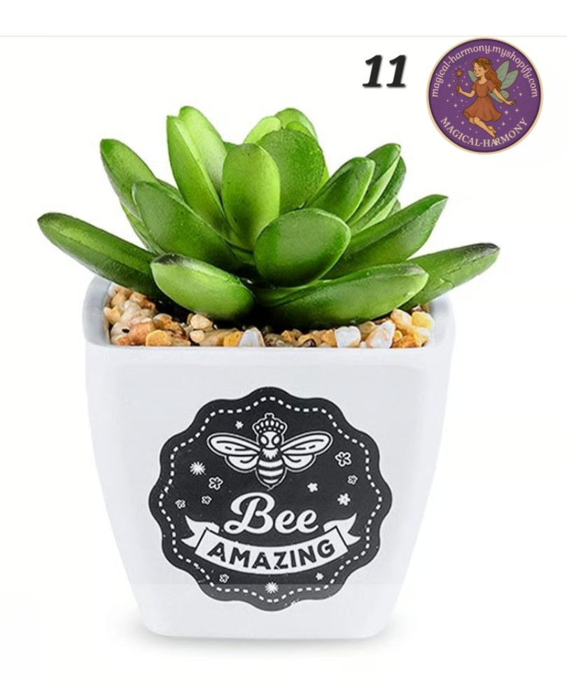 Faux Succulent Plant