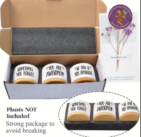 3-Piece Flower Pot Gift Set