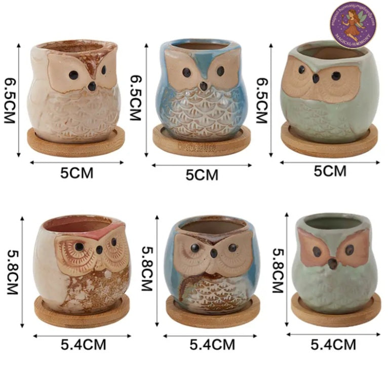 6pcs Mini Ceramic Succulent Pot Set (Perfect For Owl Enthusiasts)
