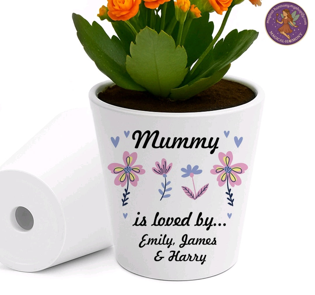 Personalised Nan Plant Pot.