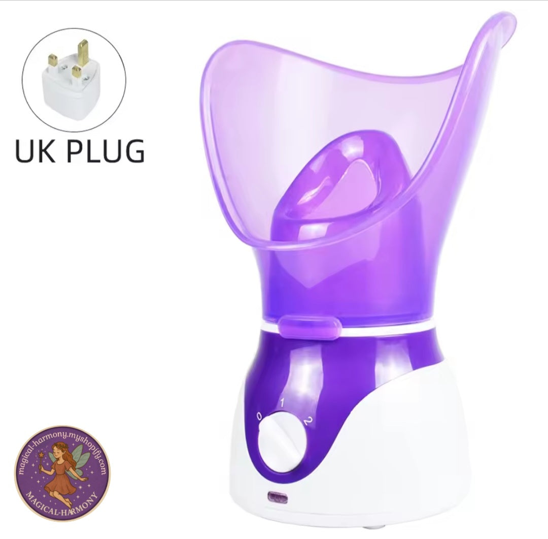 Facial Steamer