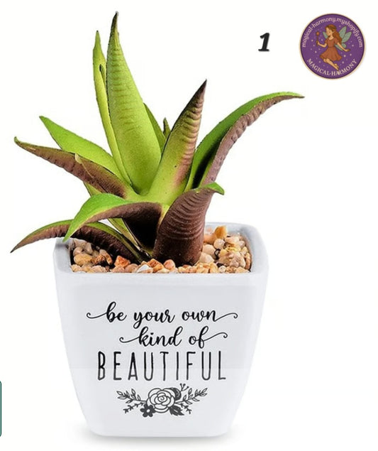 Faux Succulent Plant