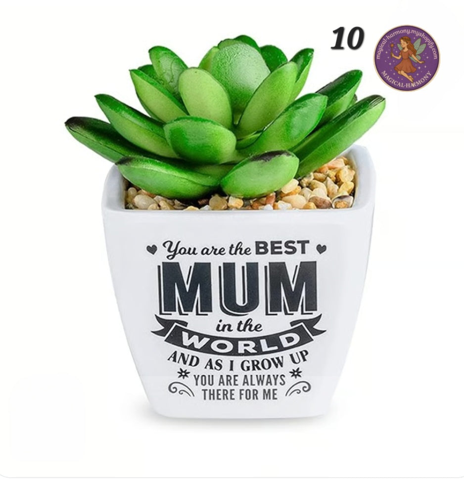 Faux Succulent Plant