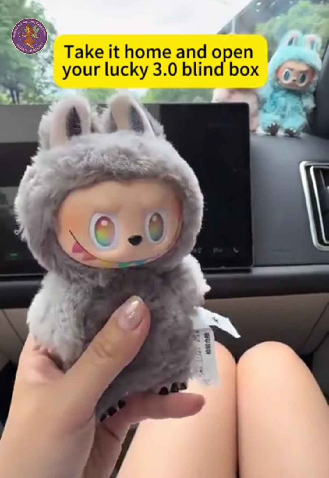 Labubu Blind Bag.