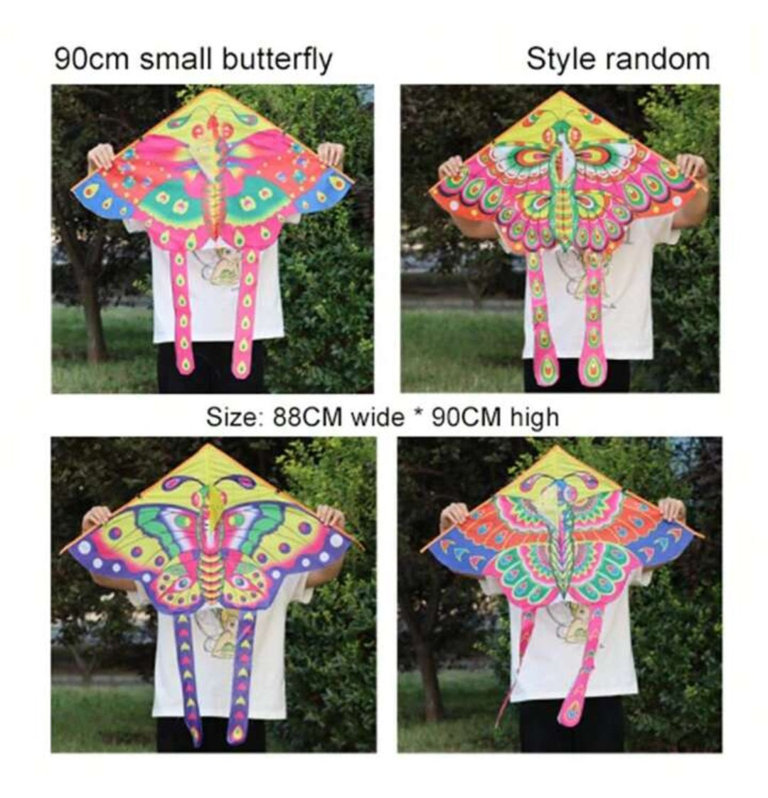 Small Cute Butterfly Kite