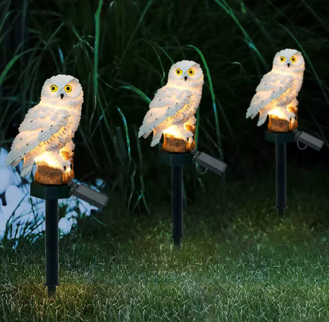 Solar Powered Owl Light