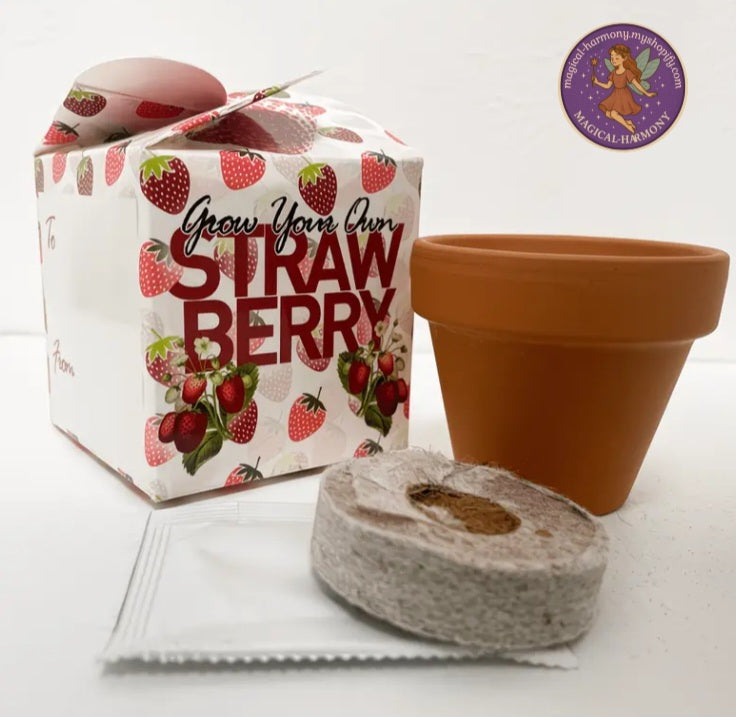 Grow Your Own Mini Box Kits