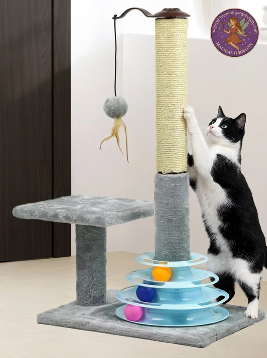 25” Cat Scratcher Activity Post