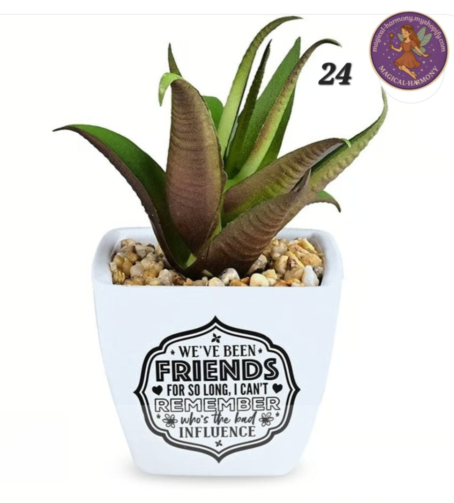 Faux Succulent Plant