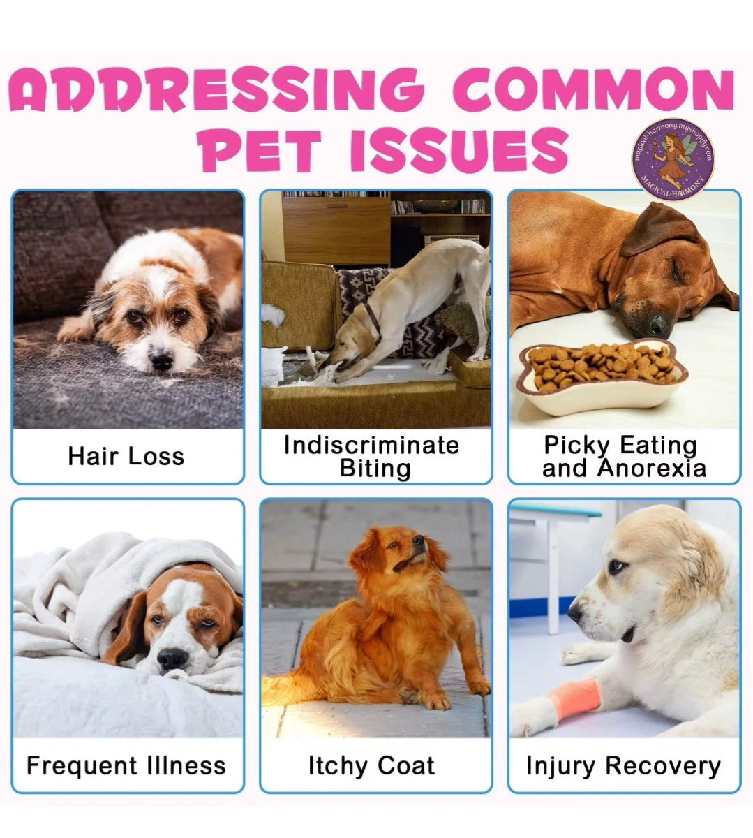 Collagen Liquid Supplement For Dog's