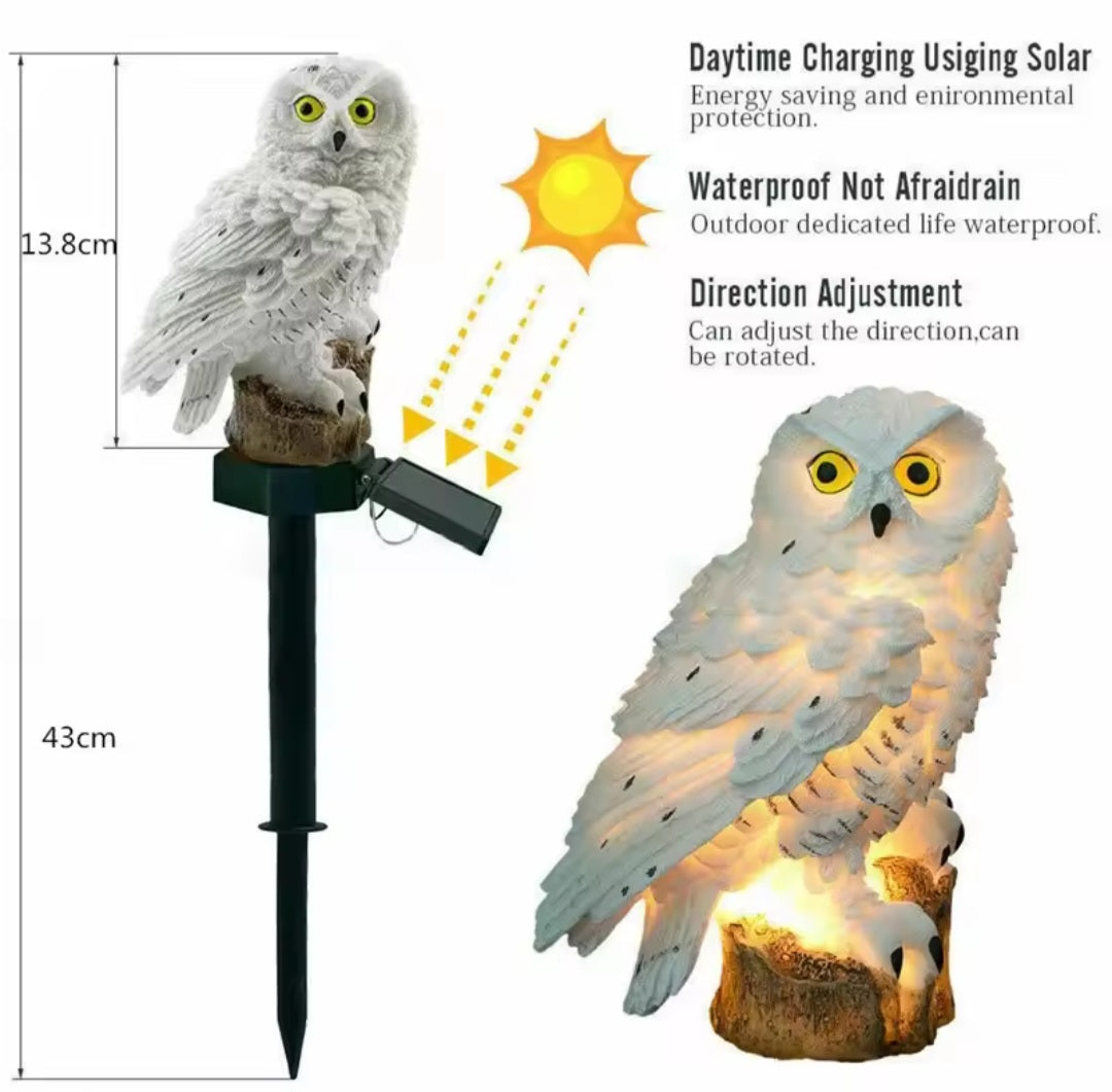 Solar Powered Owl Light